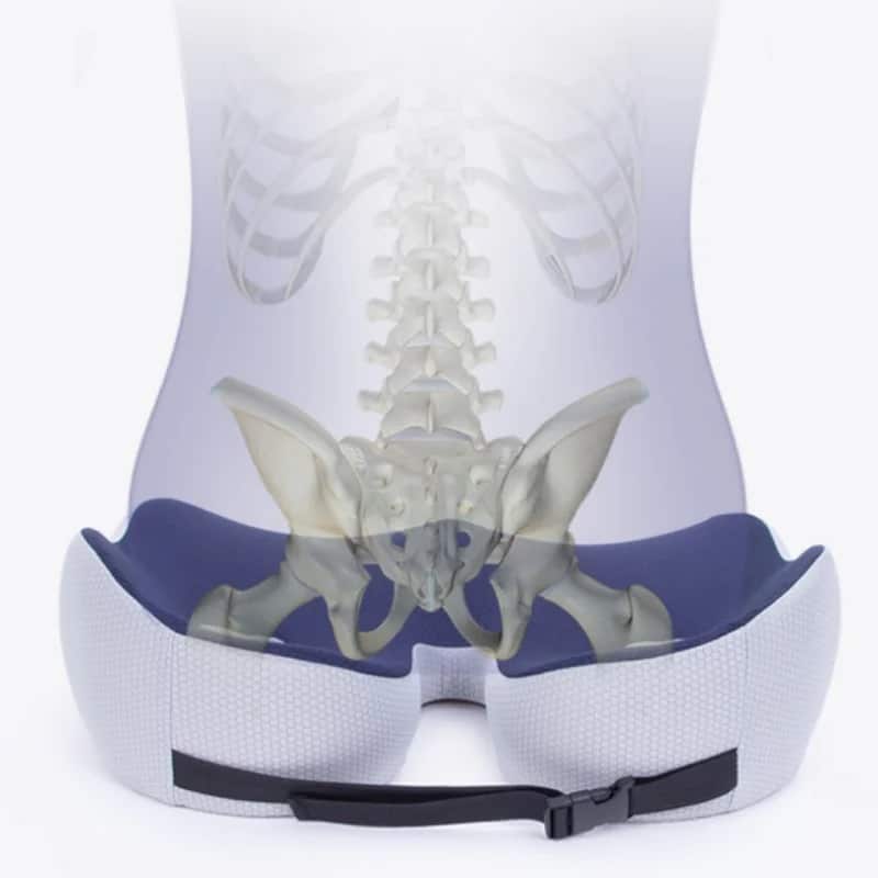 Coussin Orthopédique pour Soutien Lombaire – Mousse Mémoire de Forme pour un Dos Sans Douleur